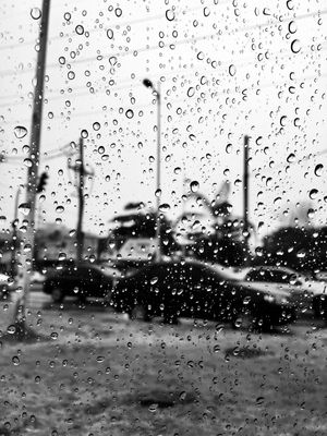 CITY RAIN