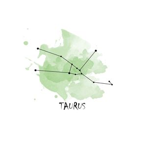 TOURO - SIGNOS - ELEMENTOS