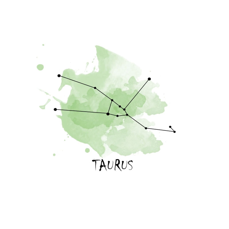 TOURO - SIGNOS - ELEMENTOS