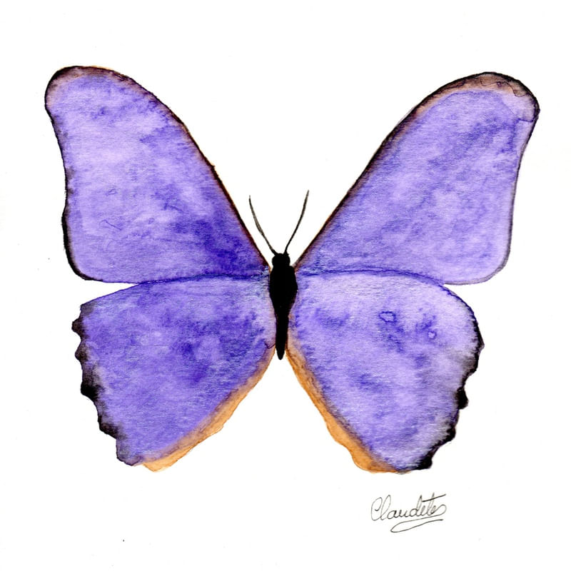BORBOLETA LILÁS