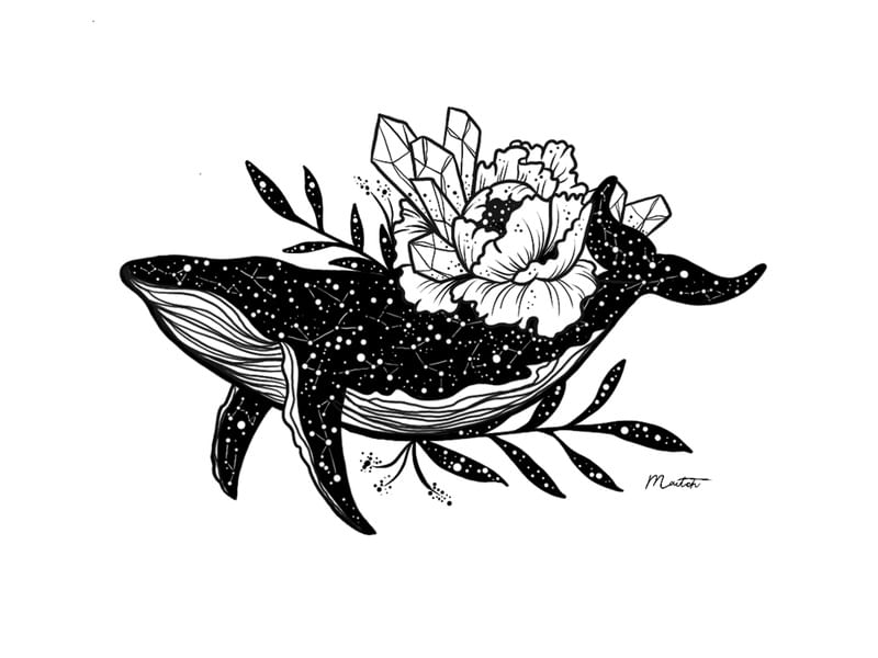 FLORAL WHALE