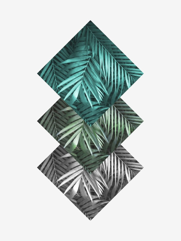 GEOMETRIA TROPICAL