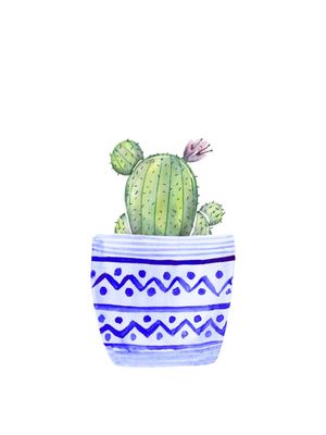 THE CACTUS AND THE BLUE POT