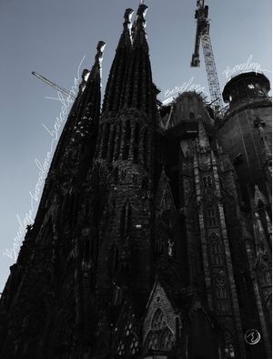 BLACK BARCELONA