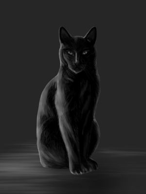DARK