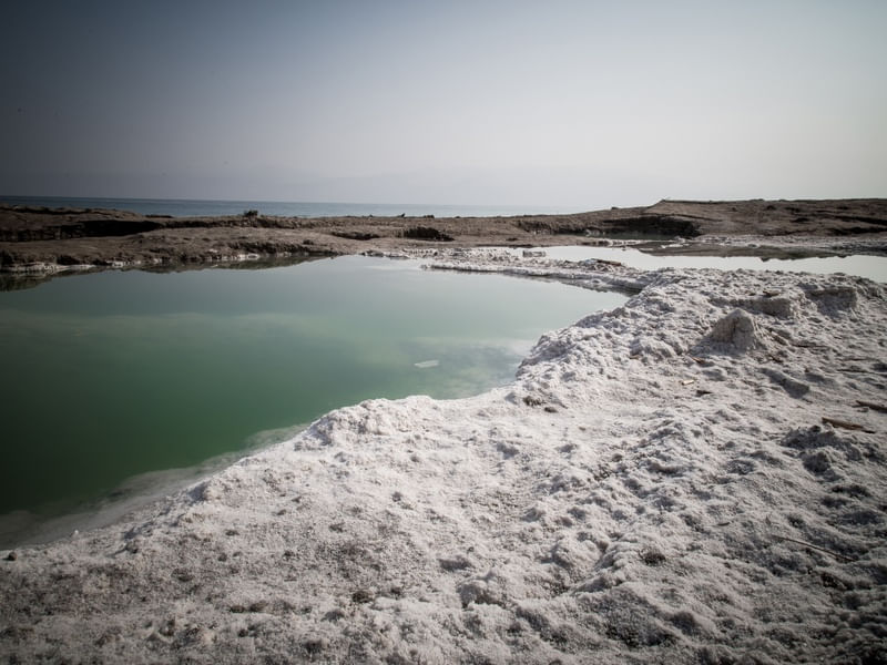 DEAD SEA