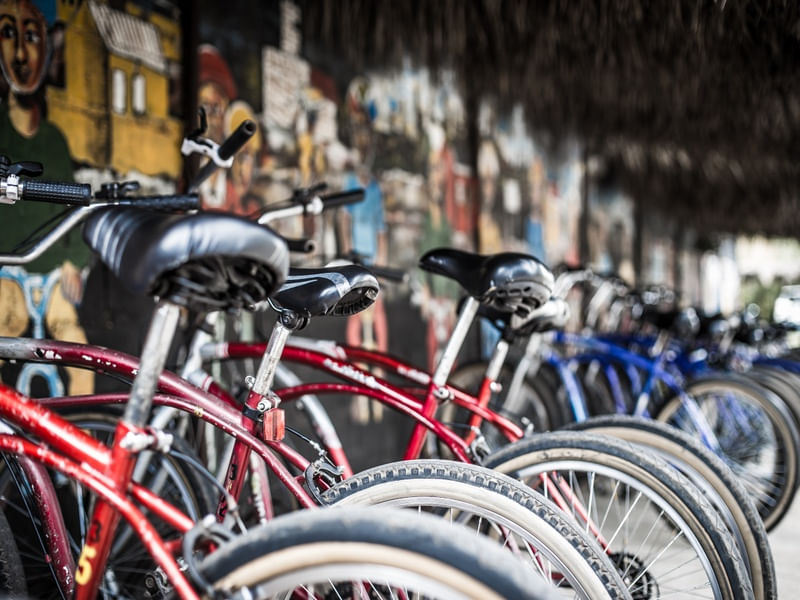 BICICLETAS SOWETO