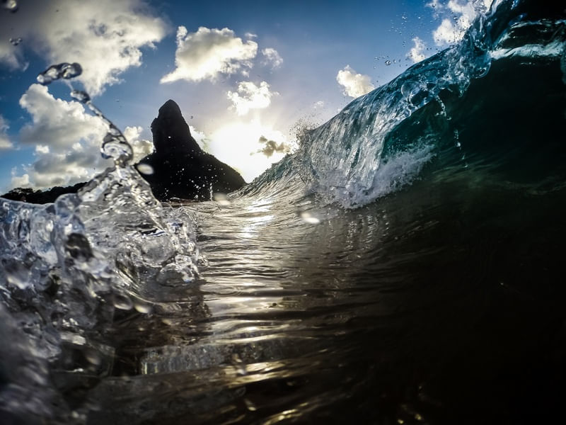 WAVE NORONHA