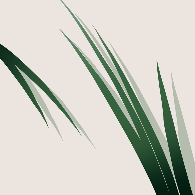 GREENN