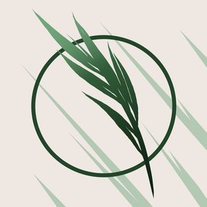ESPERANÇA V