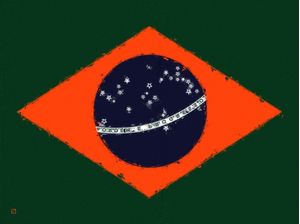BRASIL BURNING