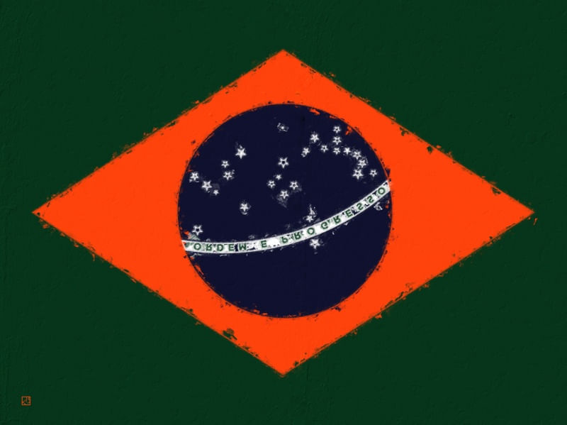 BRASIL BURNING