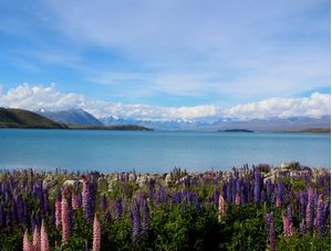 PAISAGEM NO LAGO TEKAPO NOVA ZELÂNDIA