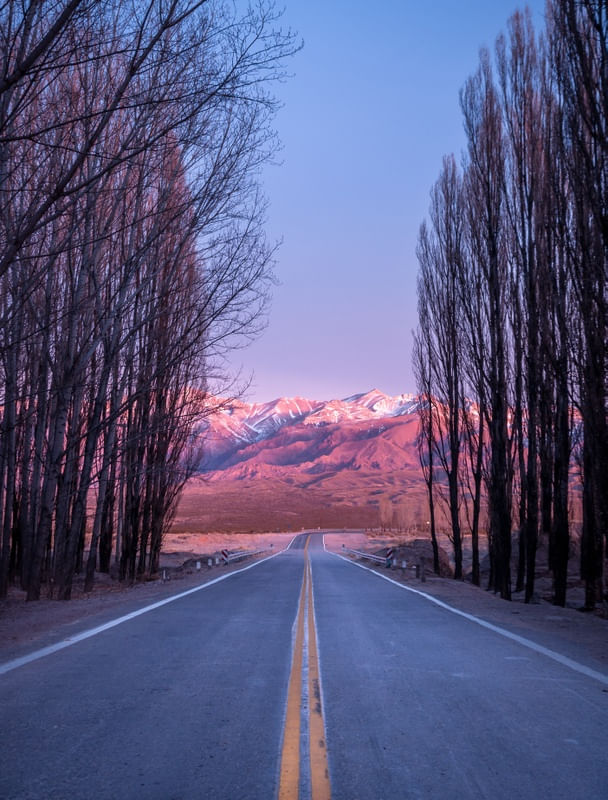 ESTRADA PARA OS ANDES - RETRATO