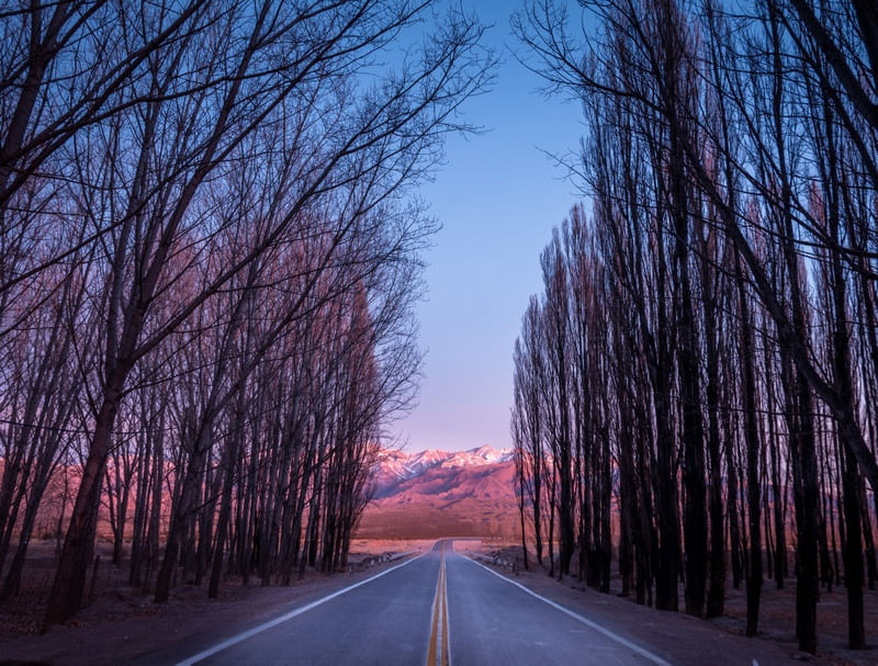 ESTRADA PARA OS ANDES - PAISAGEM