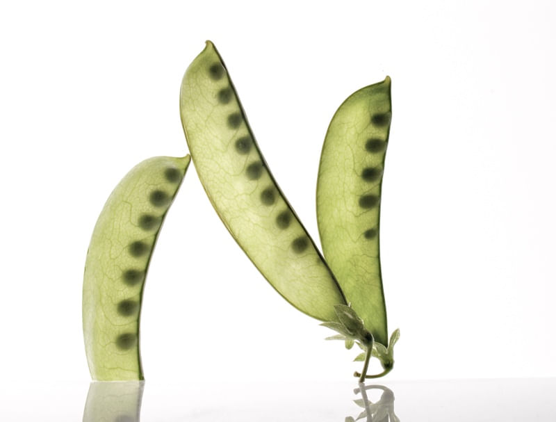 VEG ART 03