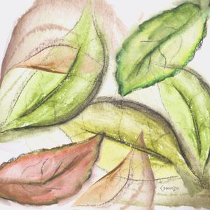 FOLHAS_AQUARELA_01