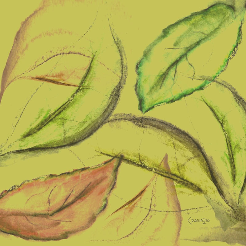 FOLHAS_AQUARELA_03
