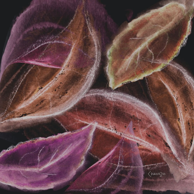 FOLHAS-AQUARELA_05