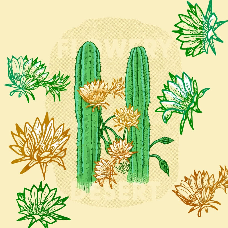 DESERTO FLORIDO