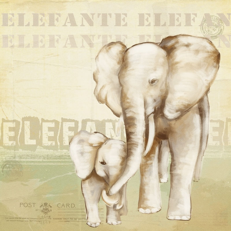 ELEFANTE E FILHOTE