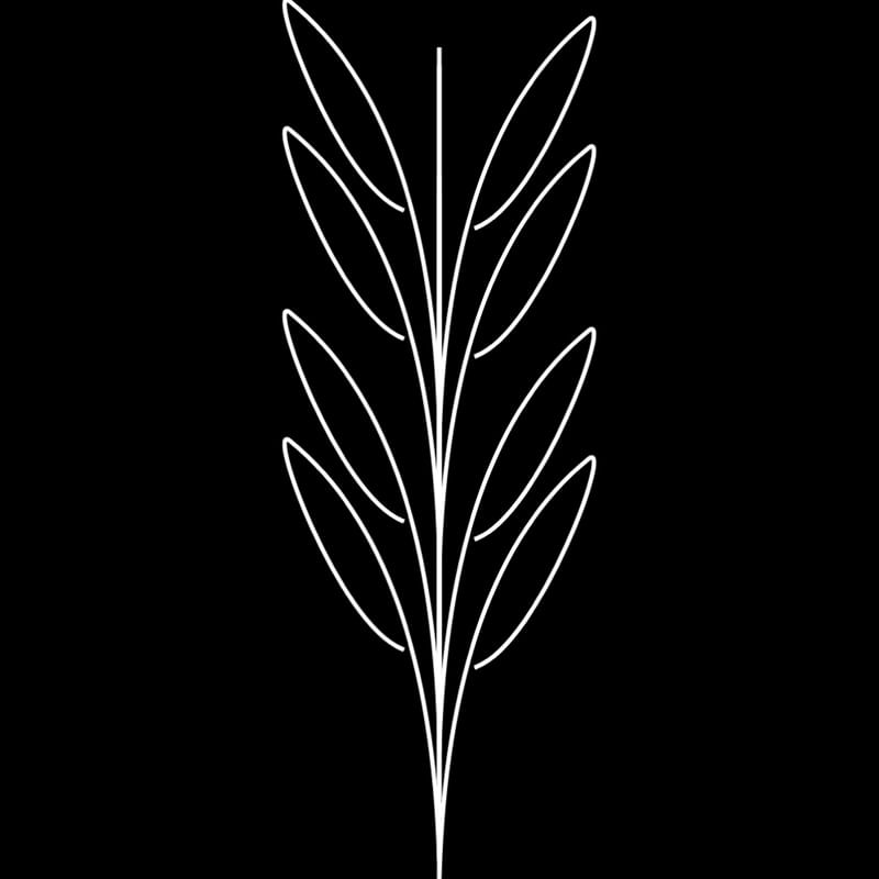 PLANTA VETORIAL