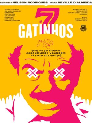 GATINHOS VOADORES