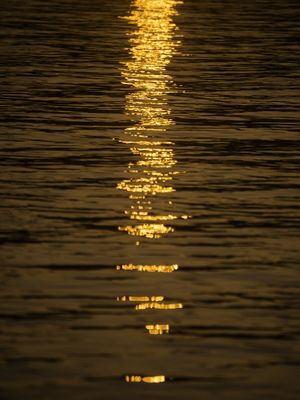 REFLEXO DO PÔR DO SOL PANTANEIRO