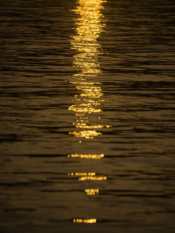 REFLEXO DO PÔR DO SOL PANTANEIRO