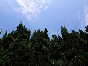 HEAVEN AND EARTH