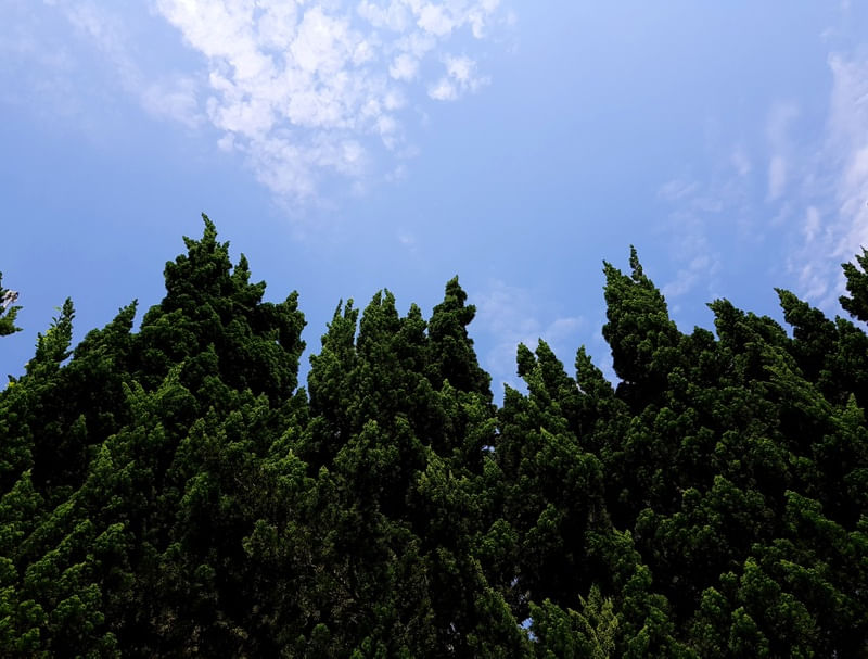HEAVEN AND EARTH