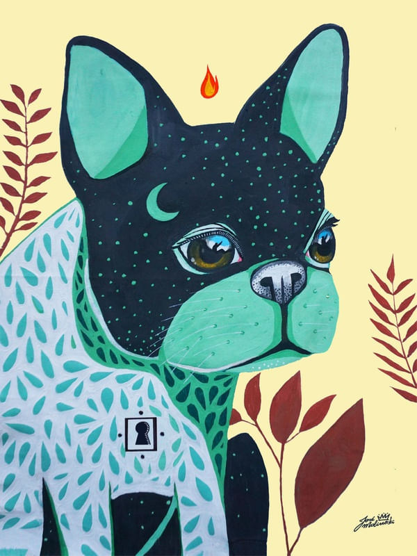BULLDOG FRANCÊS E O FOGO