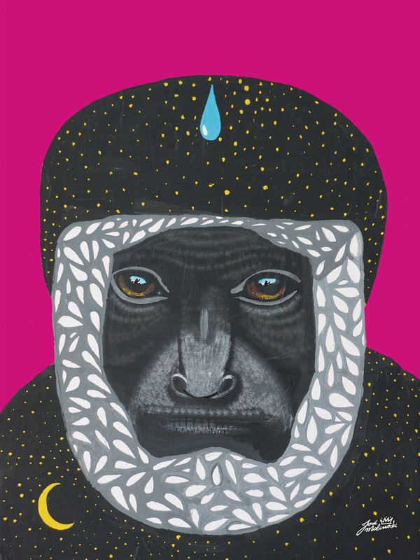 MONKEY DE SALTA