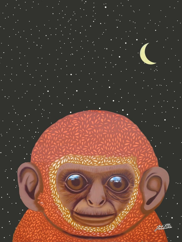 ORANGE MONKEY