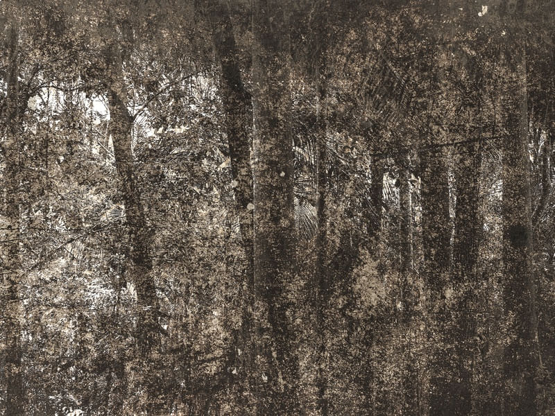 COVER WOODS
