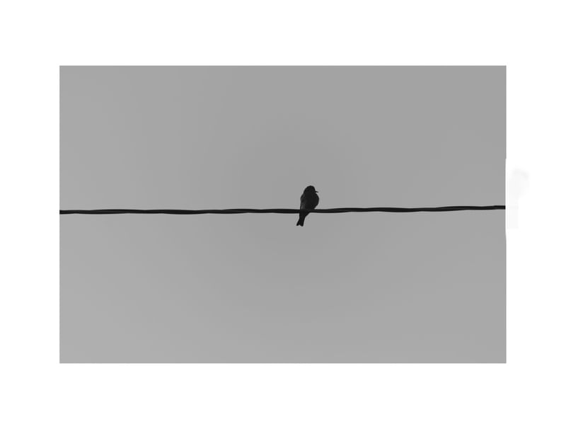 FLYING ALONE