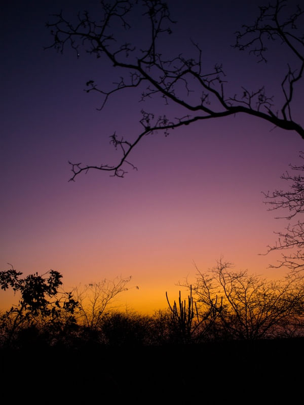 ENTARDECER NO CATIMBAU 5