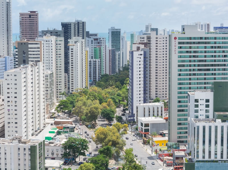 RECIFE SELVA DE PEDRAS