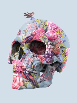 SKULL BIRD