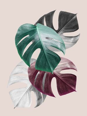 COLAGEM TROPICAL II