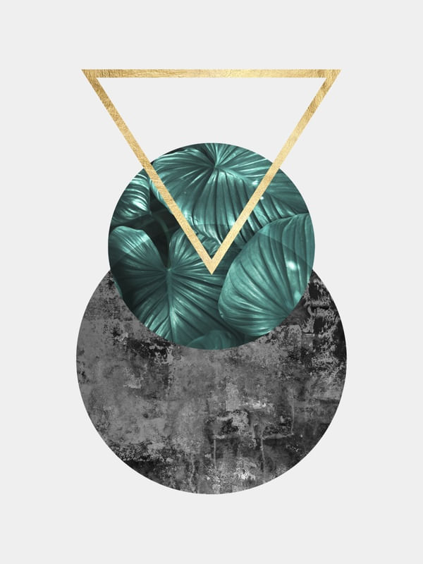 GEOMETRIA TROPICAL II