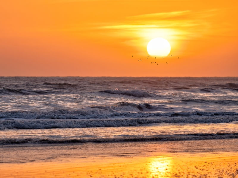AMANHECENDO EM PONTA DO MEL