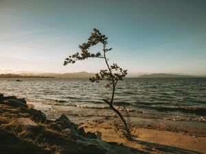 ILHA DA MAGIA - 1
