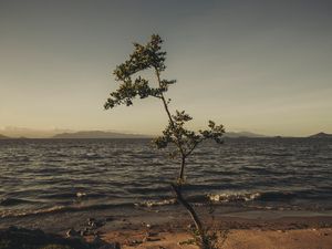 PARTES DA ILHA