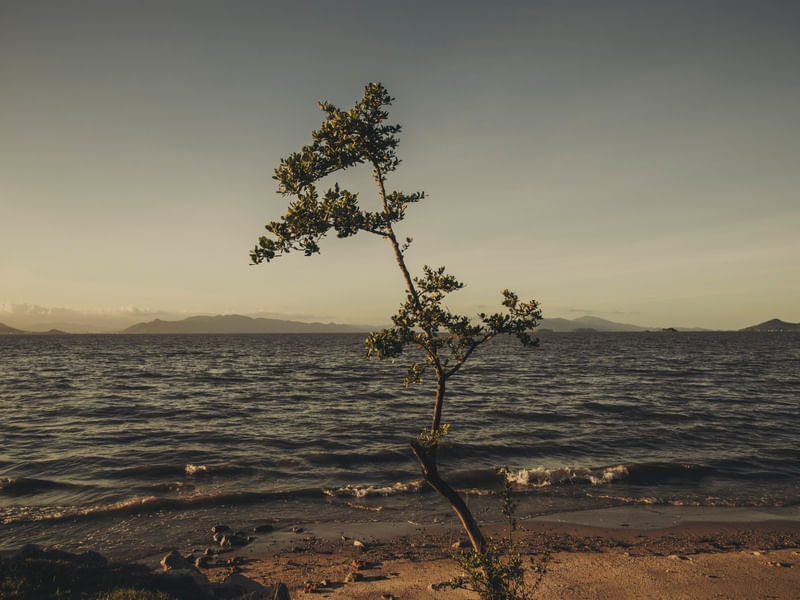 PARTES DA ILHA