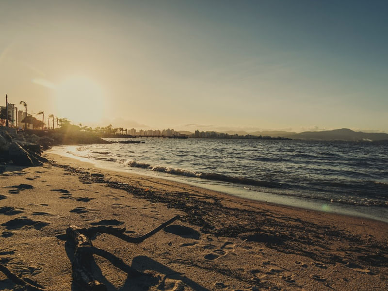 PEGADAS NA ILHA
