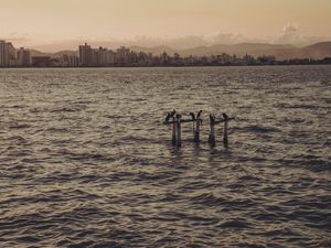 ILHA DA SOLITUDE