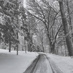 EMPTY ROAD