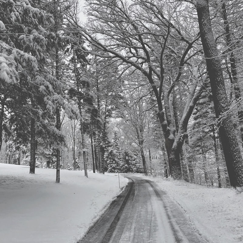 EMPTY ROAD