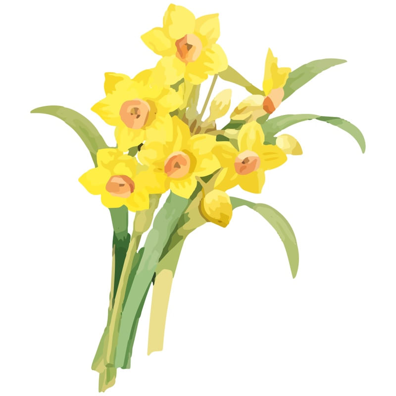 YELLOW FLOWERS